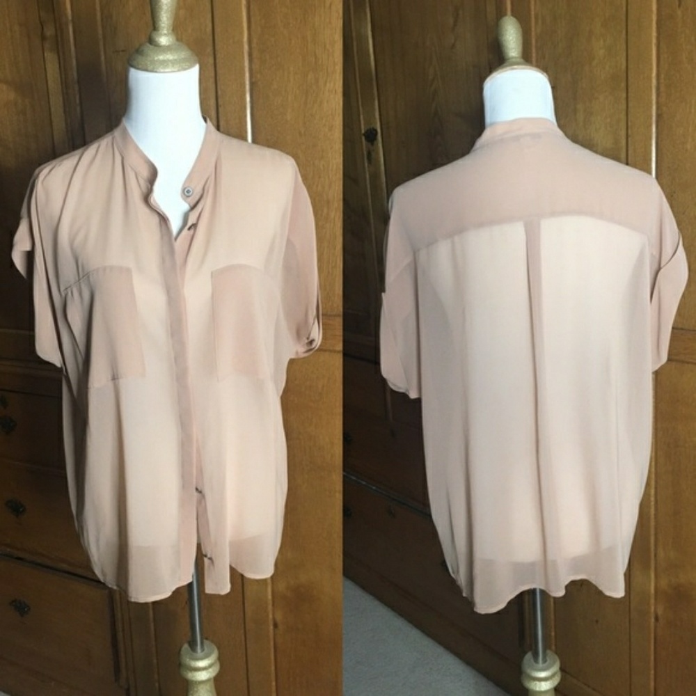 CAbi sheer blouse